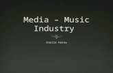 Media organic and synthetic