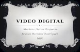 Video digital 20   28