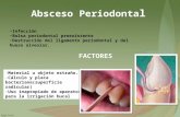 patologia: absceso periodontal