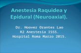 Anestesia neuroaxial