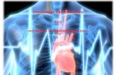 Fisiología cardíaca y ECG