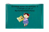 Drinking water by animals 2