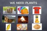 We need plants