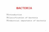 Bacteria - 2015 03-25 (AGB 12022)