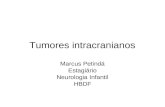 Tumores intracranianos