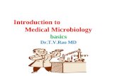 Introduction to  Medical Microbiology basics