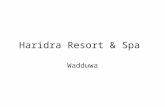 Haridra Resort & Spa  - Wadduwa - Sri Lanka