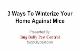 3 ways to winterize your home against mice