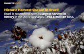Agrobusiness consolidates Brazil as a global player in production and exportation of food