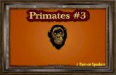 Primates #3 - widescreen
