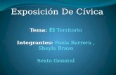 Expo civica