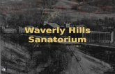 Waverly hills