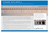 Giles Insurance Case Study