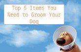 Top 5 Items You Need to Groom Your Dog