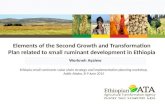 Elements of the Second Growth and Transformation Plan related to small ruminant development in Ethiopia