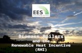 Biomass and the Renewable Heat Incentive (RHI) | Euro Energy Services