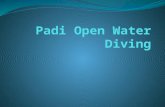 Padi open water diving