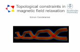 Topological restrictions in magnetic field dynamics and reconnection