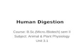 B.Sc.(Micro+Biotech) II Animal & Plant Physiology Unit 3.1 Introduction to. Digestive System