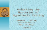 Attractive ppt on Hypothesis by ammara aftab