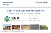 Better world community bioenergy eep