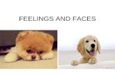 Feelings and faces