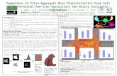 SSSA2009:  Comparison of Intra-Aggregate Pore Characteristics From Soil in Conventional Row-Crop Agriculture and Native Succession Vegetation