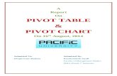 Pivot Table & Chart_Parakramesh Jaroli_Pacific University