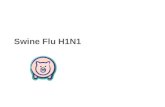 Swine flu Information, Signs, Prevention and Cures