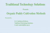 Full illustration organic paddy cultivation methods tts-presentation1