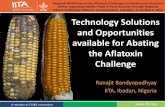 Technology solutions and opportunities available for abating the aflatoxin challenge