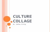 Culture Collage Sydney
