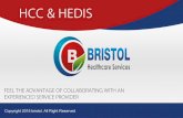 HCC & HEDIS Coding -  Bristol Healthcare Services