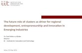 The future role of clusters as driver for regional development, entrepreneurship and innovation in Emerging Industries