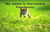 Social Media Resume-Eng4045-Alexandra Treadaway