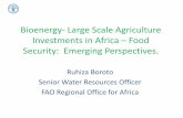 Bioenergy  large scale agriculture investments in africa - food security perspectives