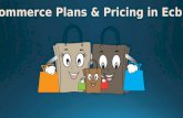 Effective Ecommerce Plans and Pricing