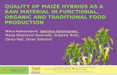 QUALITY OF MAIZE HYBRIDS AS A RAW MATERIAL IN FUNCTIONAL, ORGANIC AND TRADITIONAL FOOD PRODUCTION