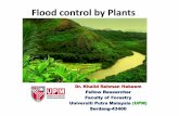 Flood control by plants