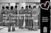 Mass incarceration and the cradle to prison pipeline