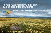 CLN 1.0 Progress Report_print