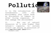 pollution (environmental issue)