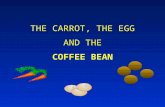Carrot,egg & coffee bean