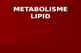 Metabolisme lipid1 2