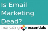 Is Email Marketing Dead?