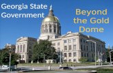 Georgia state government