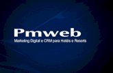Pmweb Search Marketing - Cases