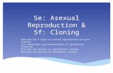 5ef asexual reproduction
