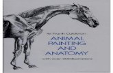 27872822 animal-painting-amp-anatomy(1)
