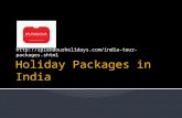 Holiday packages in india